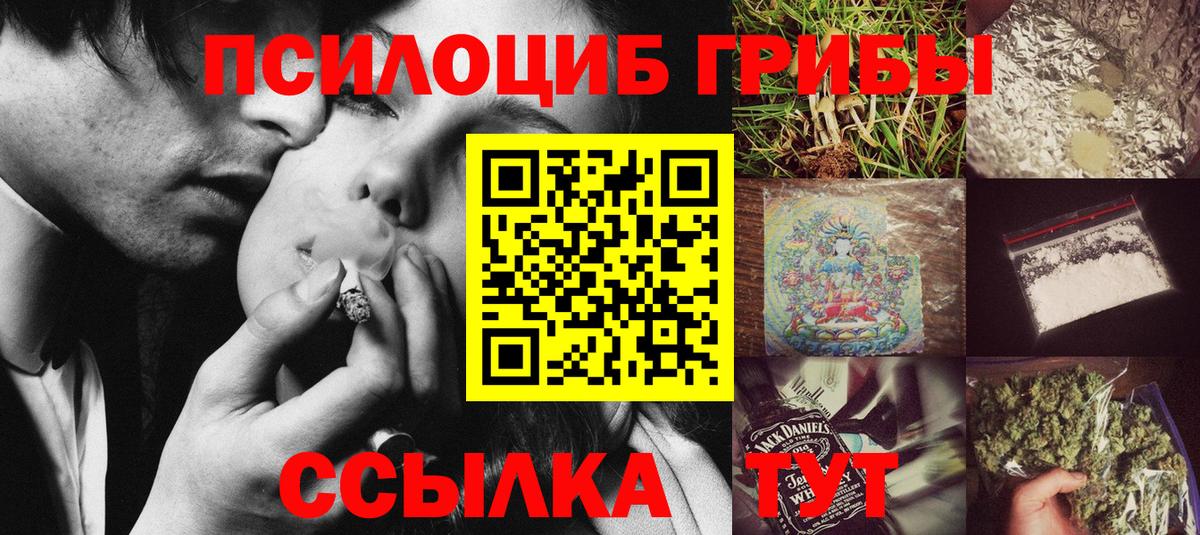 Крымск  Галлюциногенные грибы Psilocybine cubensis  Вход с VPN 