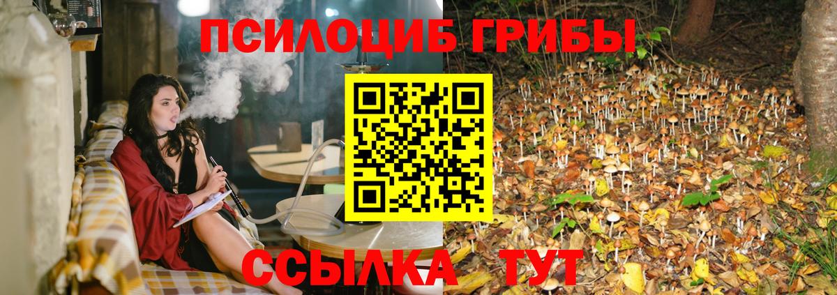 Галлюциногенные грибы мицелий Крымск